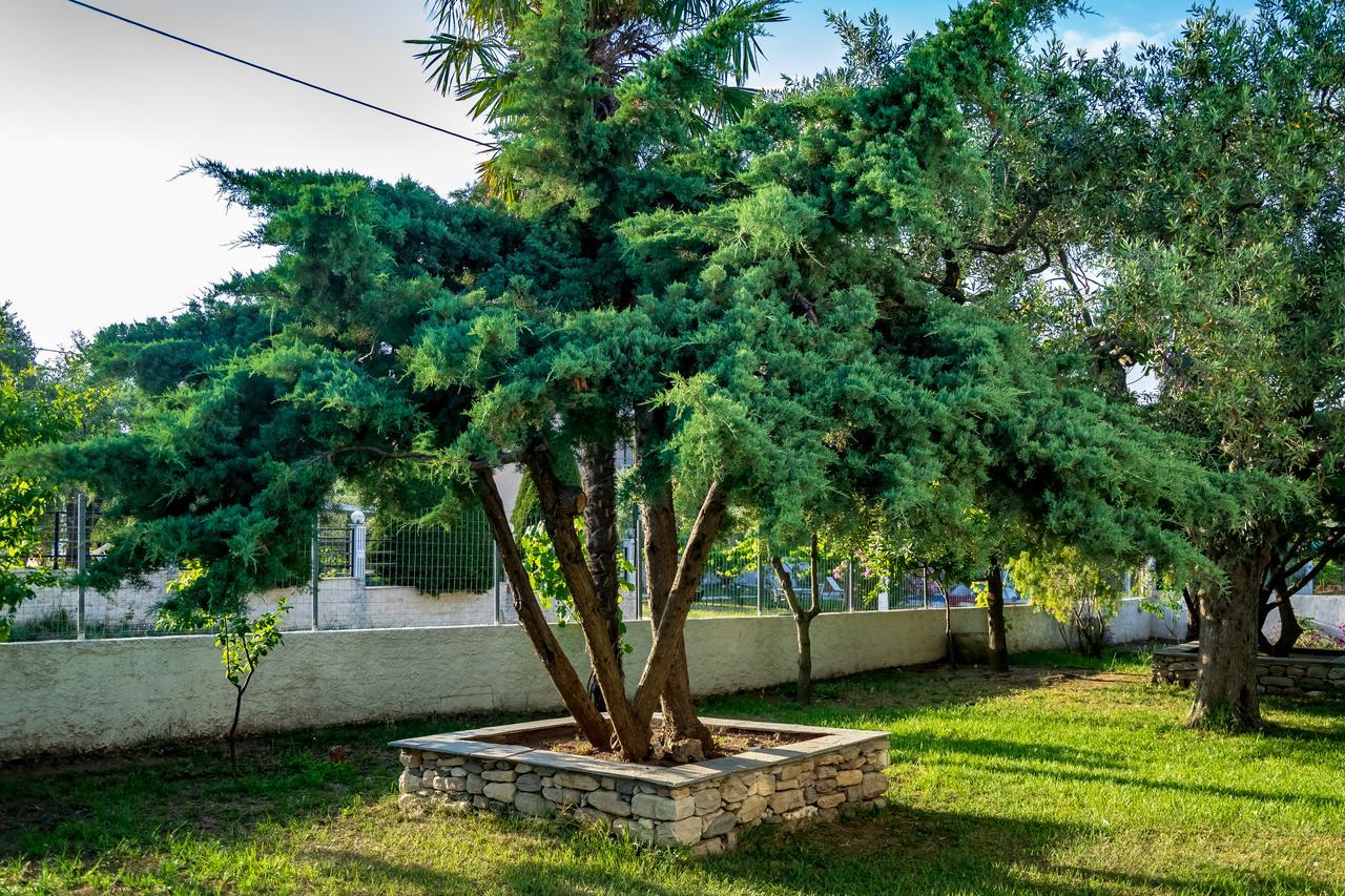 Villa Dafni Studios Limenas  Exteriér fotografie